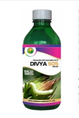 DIVYA 505 