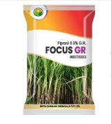 FOCUS GR 