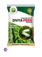 DIVYA PRIDE 