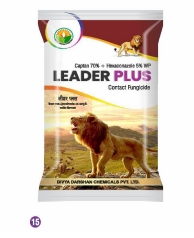 LEADER PLUS 