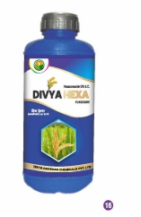 DIVYA HEXA 