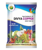 DIVYA COPPER 